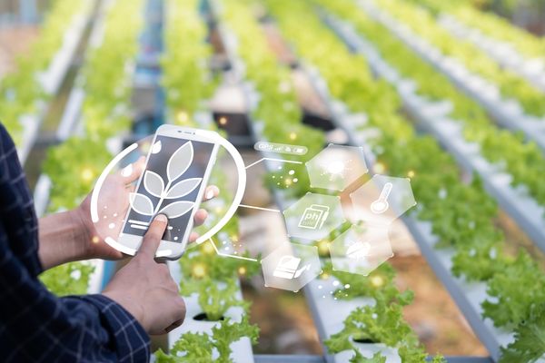 Biga’da Çiftçiler İçin Tarımsal Muhasebe Programları